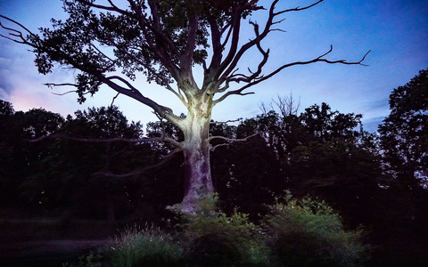 Irrlicht ©Peter Becker