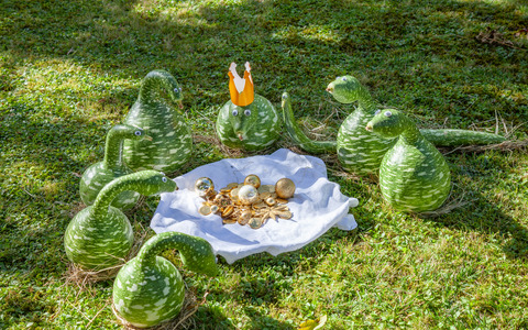 Schlangenkönig ©Peter Becker