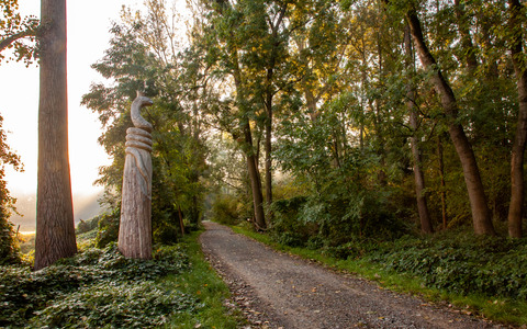 Schlangenkönig im Spreewald ©Peter Becker