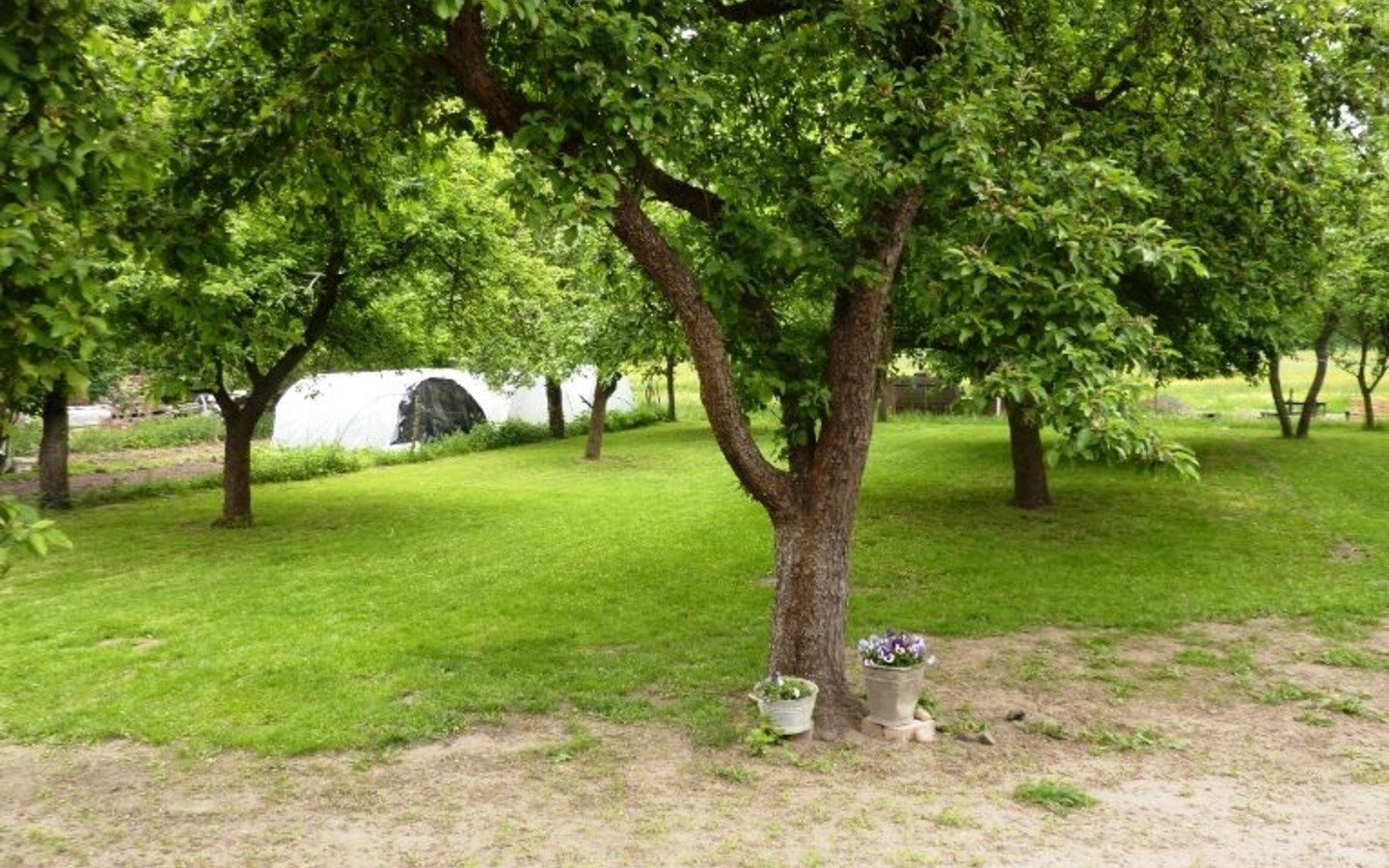 Außenbereich Garten