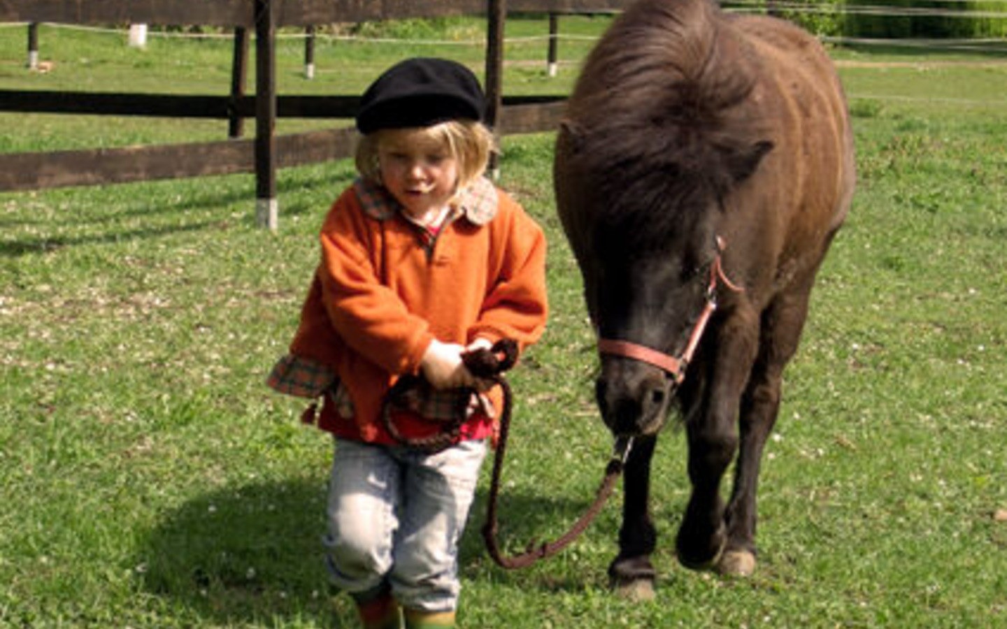 Reiten