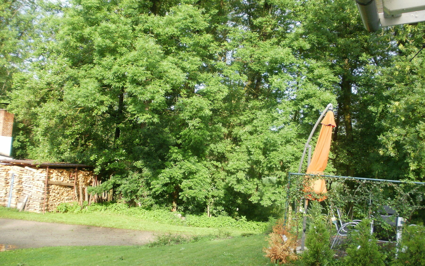 Gartenansicht