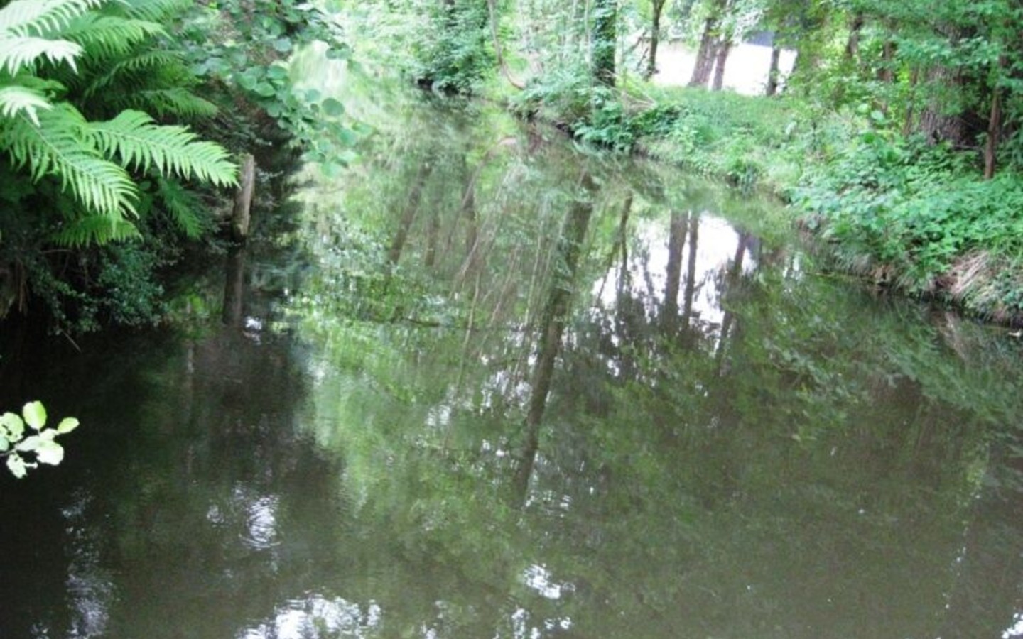 Die kleine Spree