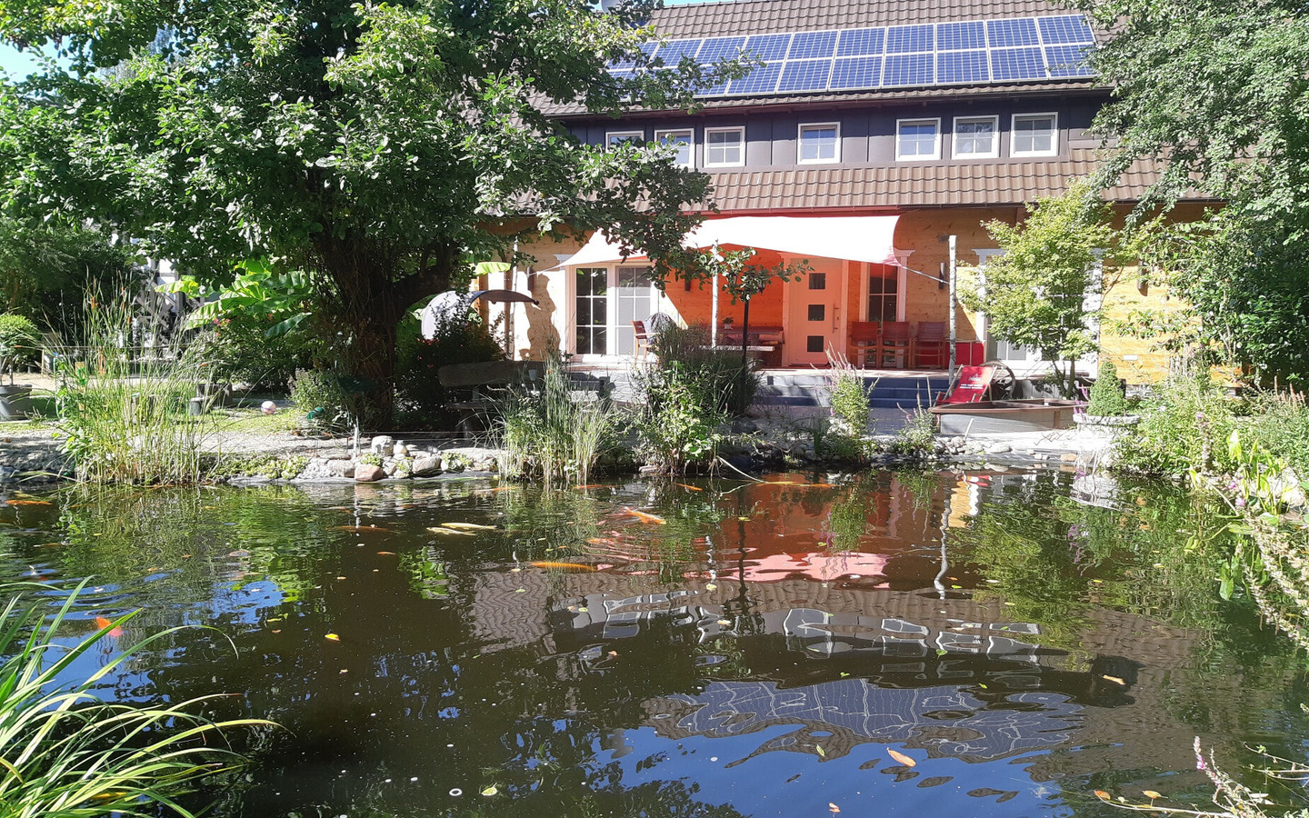 Teich mit Terrasse
