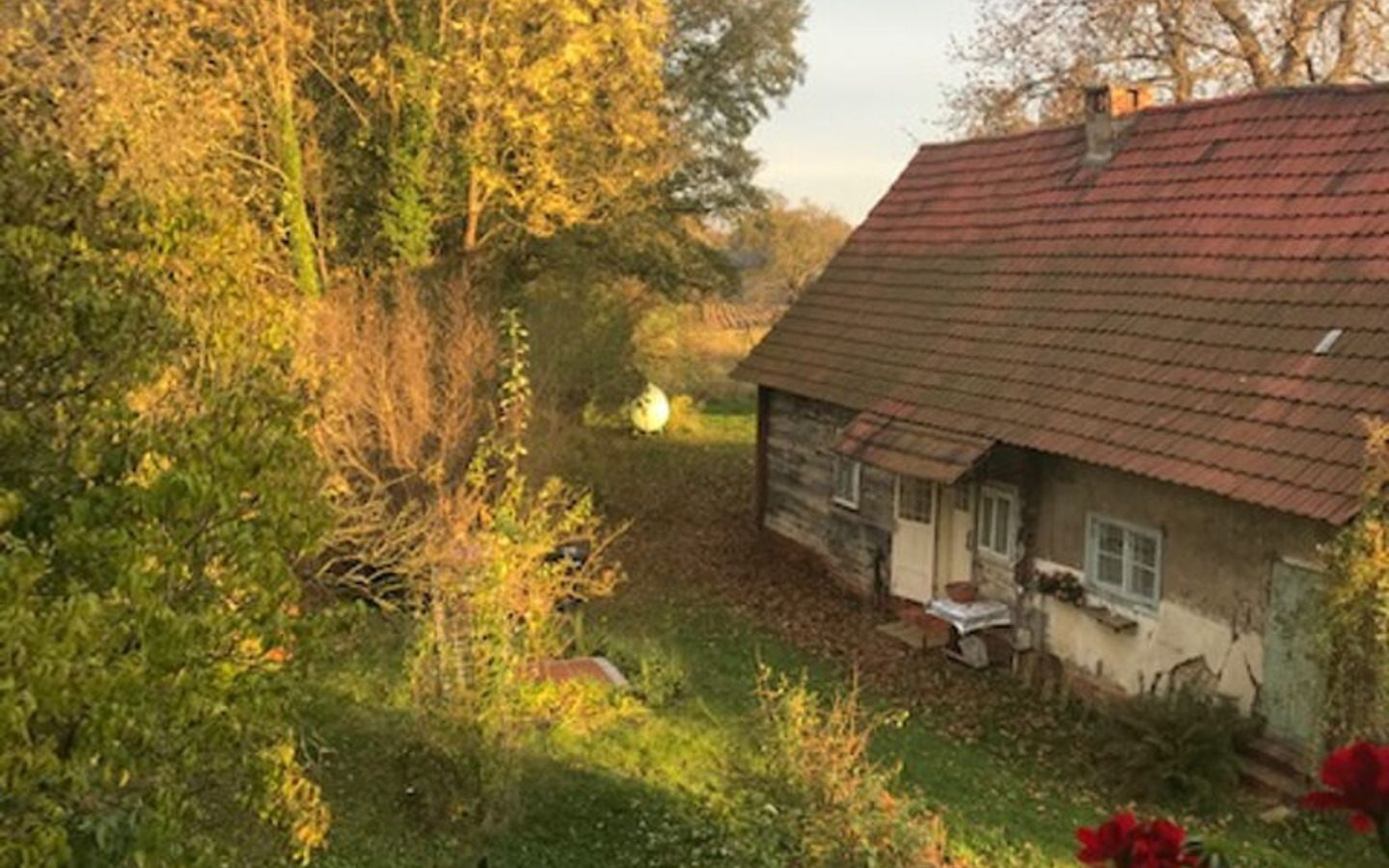 Altes Spreewaldhaus auf dem Grundstück