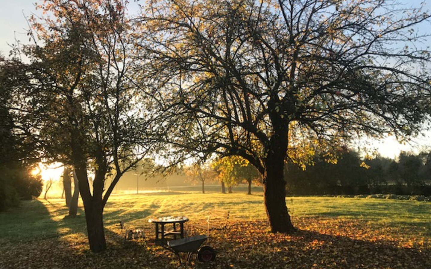 Gartenlicht