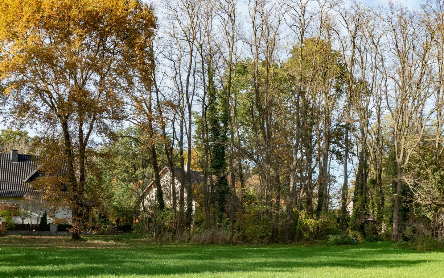 Teichwiesen