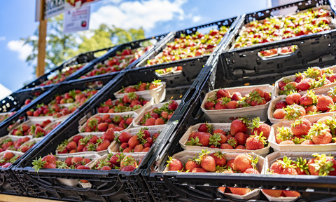 Erdbeeren