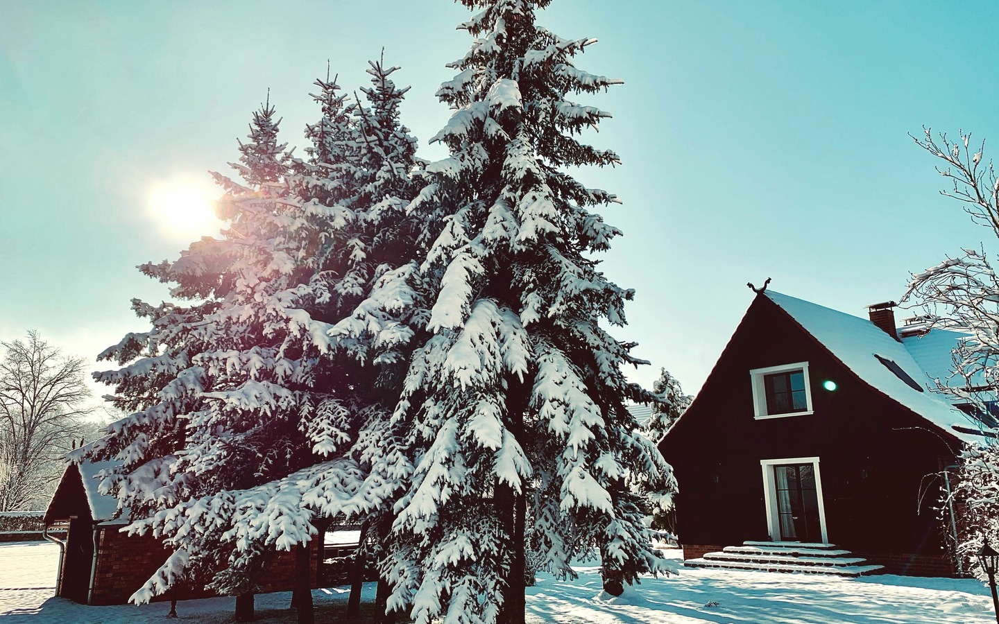 Im Winter