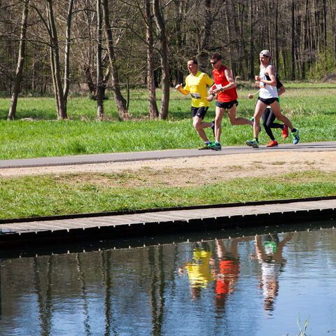 Läufer beim Marathon