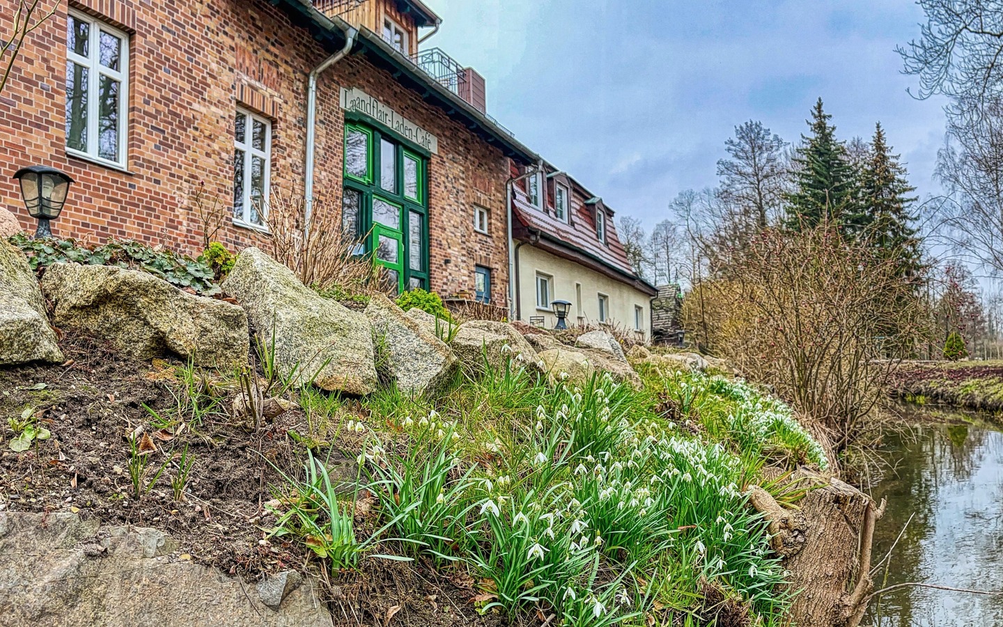 Grüner Wald