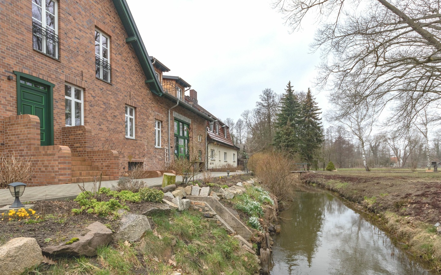 Grüner Wald