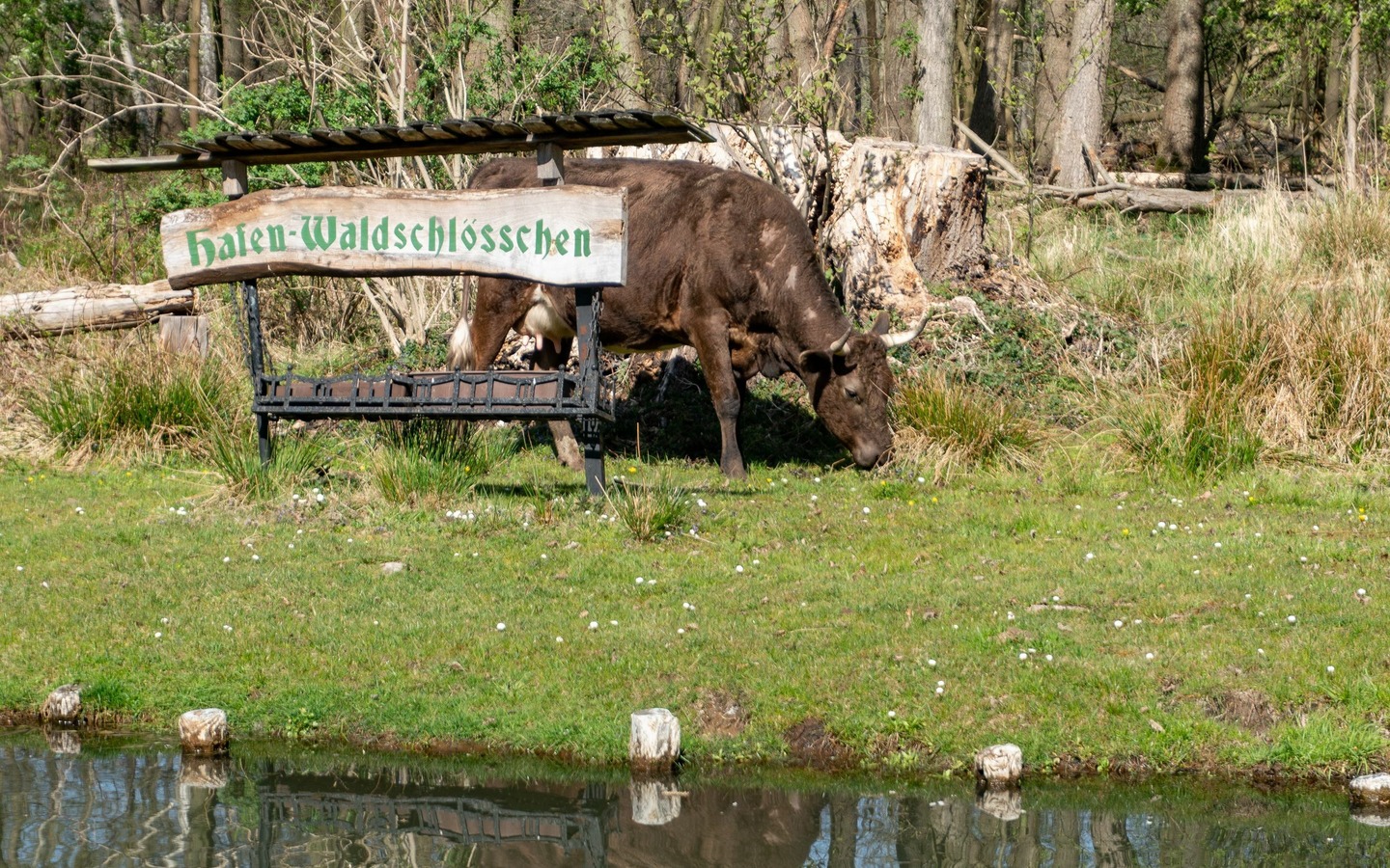Ufer am Hafen Waldschlösschen, Foto: Peter Becker, Lizenz: Amt Burg (Spreewald)