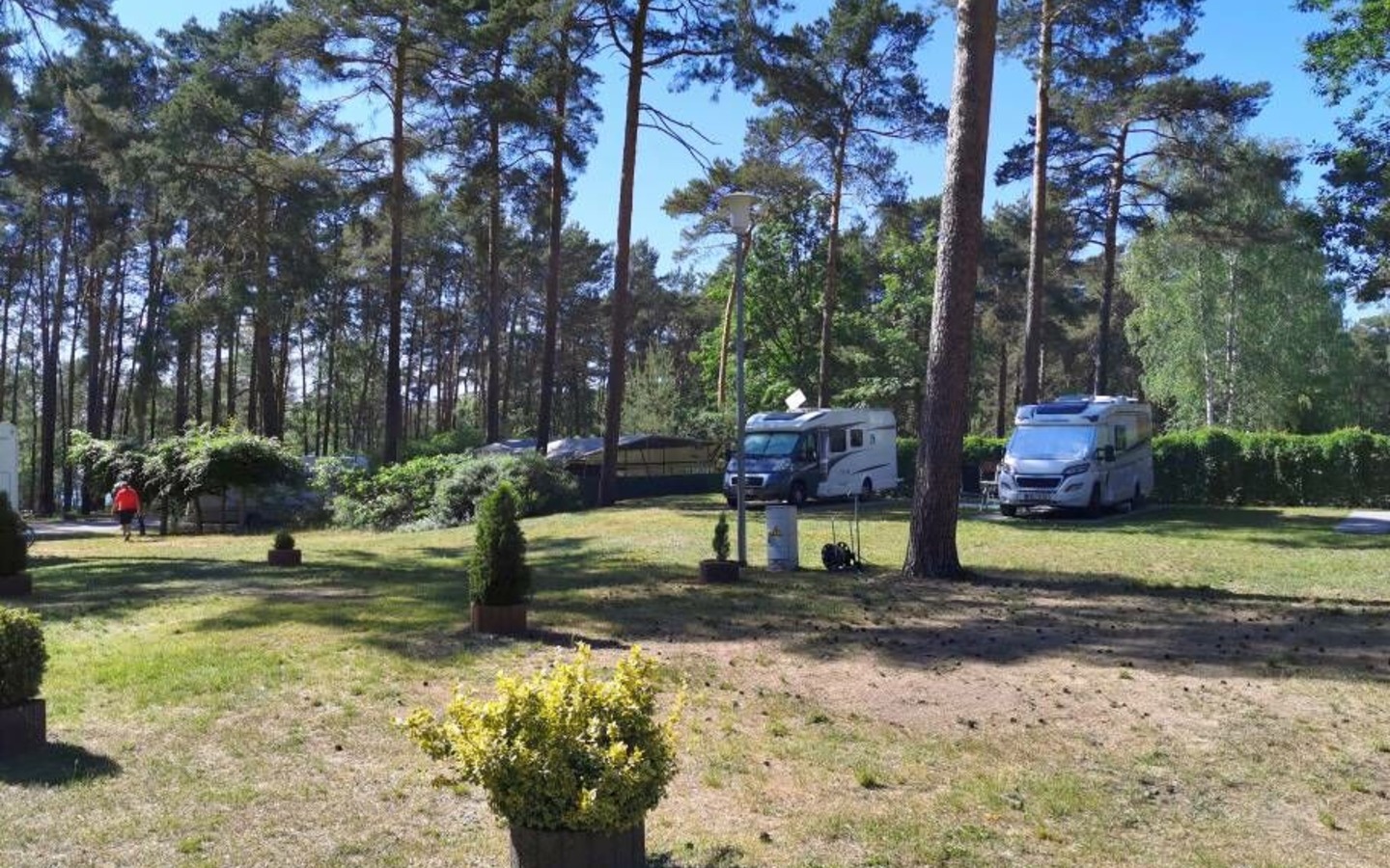 Stellplatz Reisemobil, Foto: ReFanCard, Lizenz: Waldcamping Am Großsee