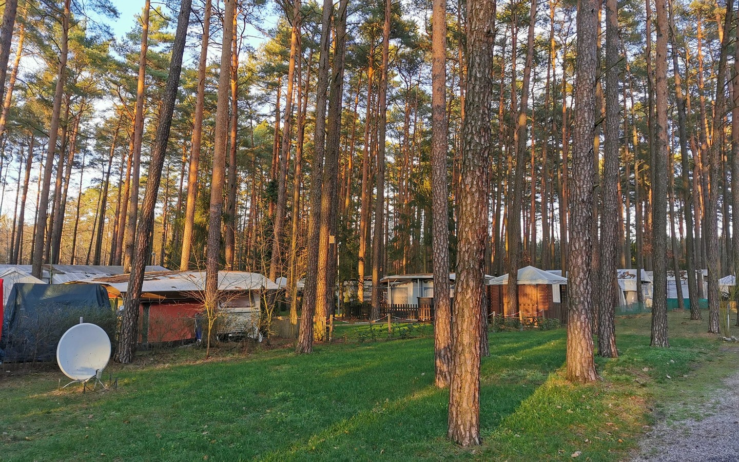 Camping im Wald, Foto: ReFanCard, Lizenz: Waldcamping Am Großsee