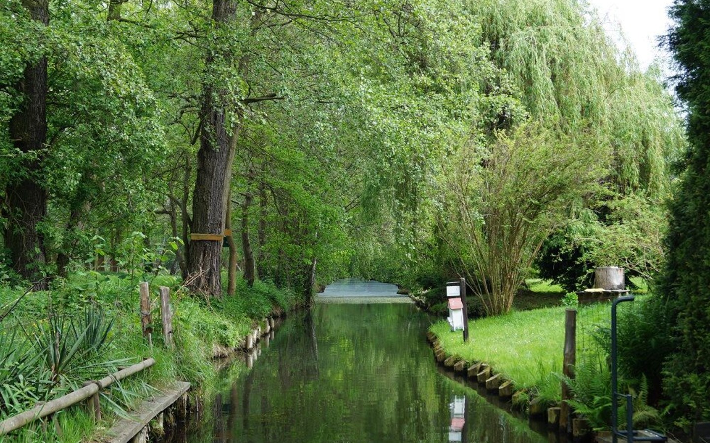 Unberührte Natur, Foto: Kleiner Spreewaldhafen, Lizenz: Amt Burg (Spreewald)