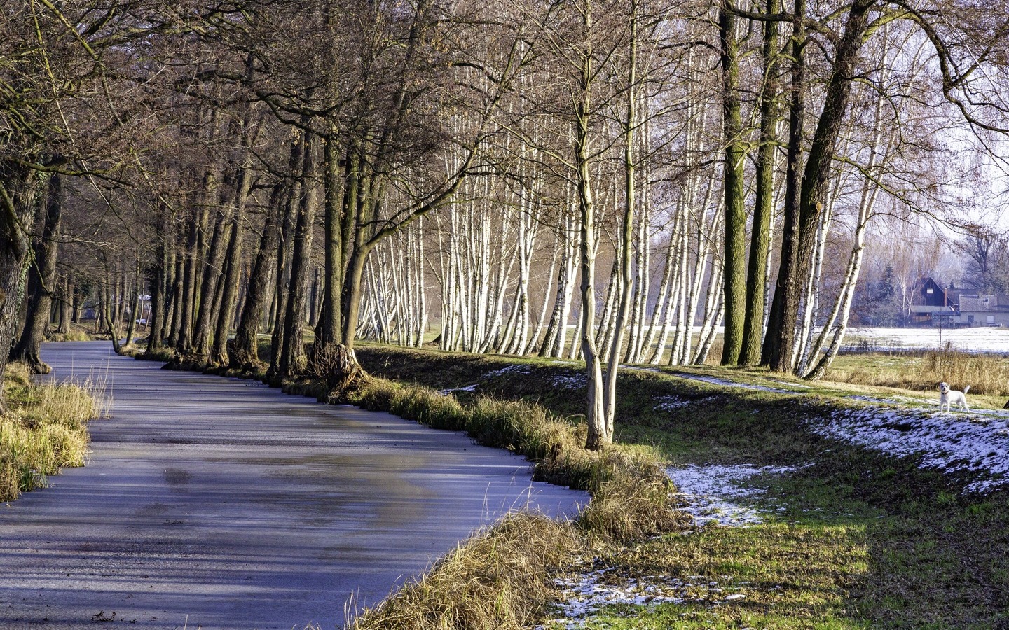 Spreewaldfließ im Winter, Foto: Peter Becker, Lizenz: Amt Burg (Spreewald)