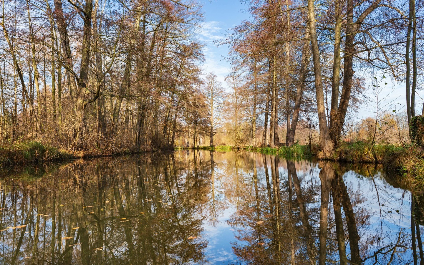 Spreewaldfließ, Foto: TMB-Fotoarchiv/Steffen Lehmann, Lizenz: Amt Burg (Spreewald)