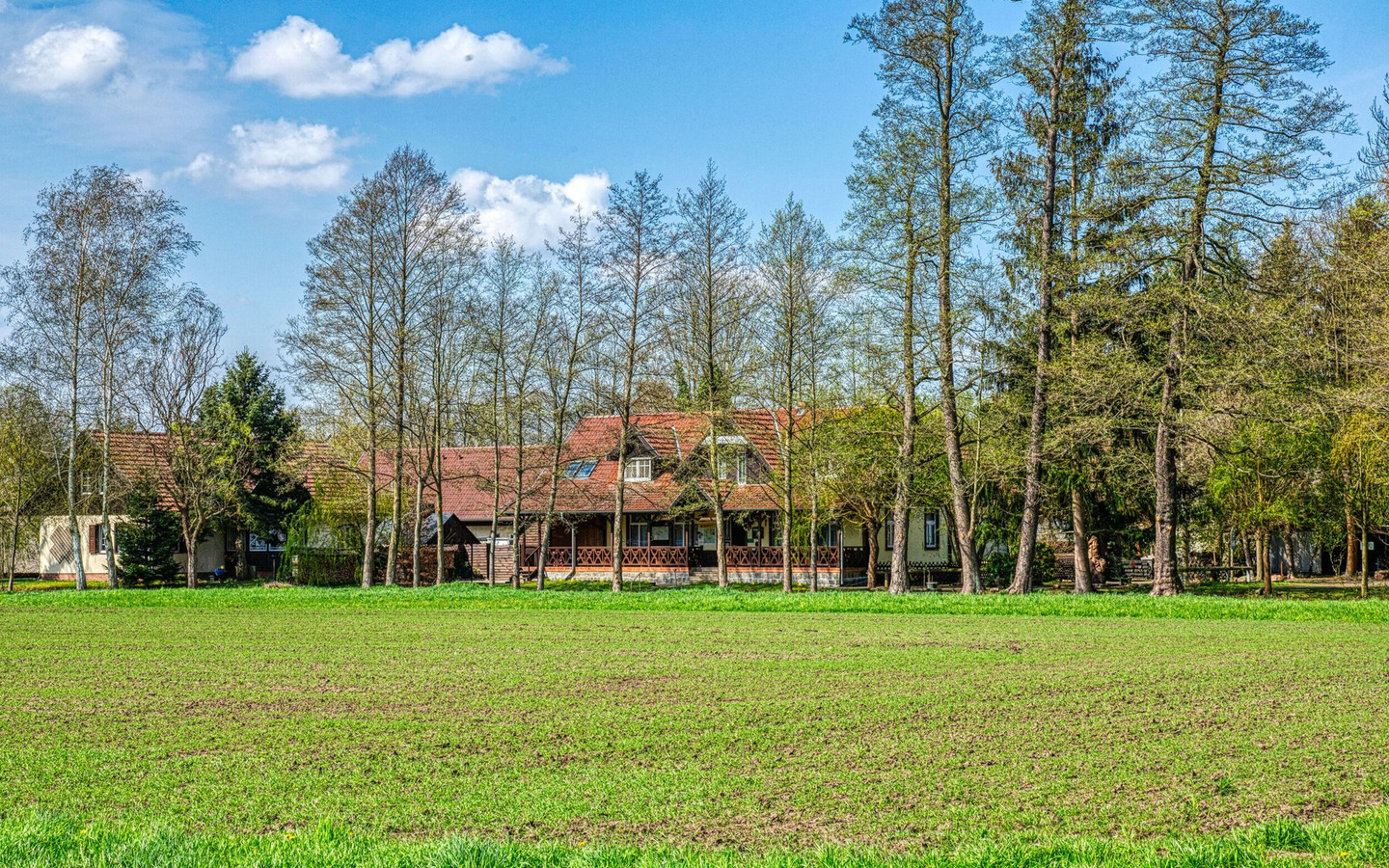 Erlkönig vom Feld aus gesehen