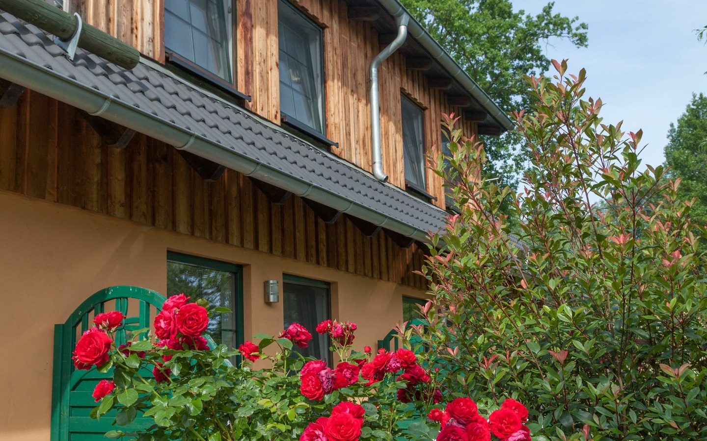 Terrassen Pension