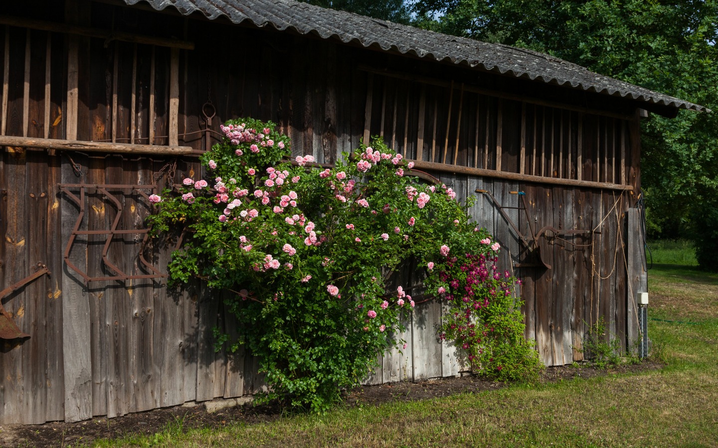 Spreewald-Romantik