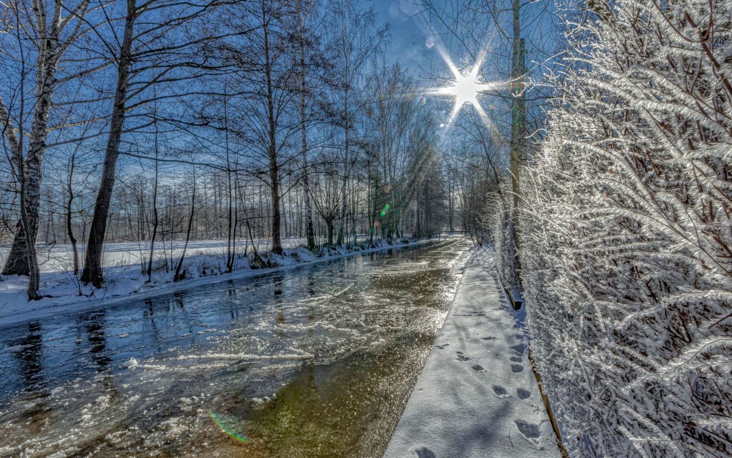 Winter am Fließ