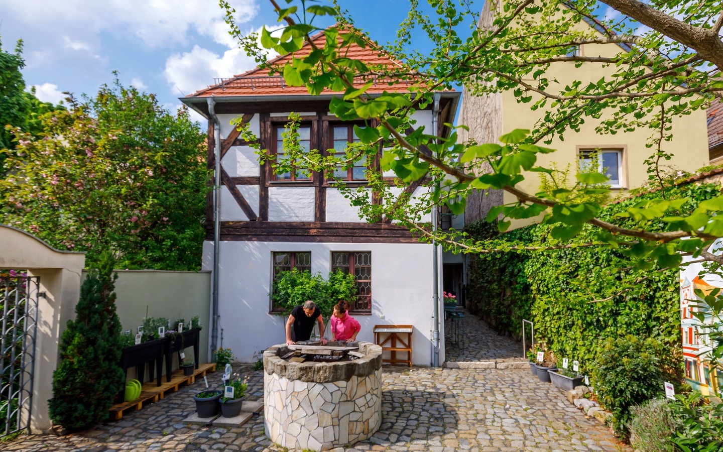 Brandenburgisches Apothekenmuseum in der Löwen-Apotheke Cottbus, Foto: Andreas Franke, Lizenz: CMT Cottbus