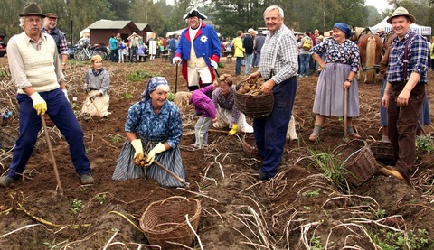 Historisches Kartoffelhacken mit dem Alten Fritz, Foto: Teresa Albert, Lizenz: Teresa Albert