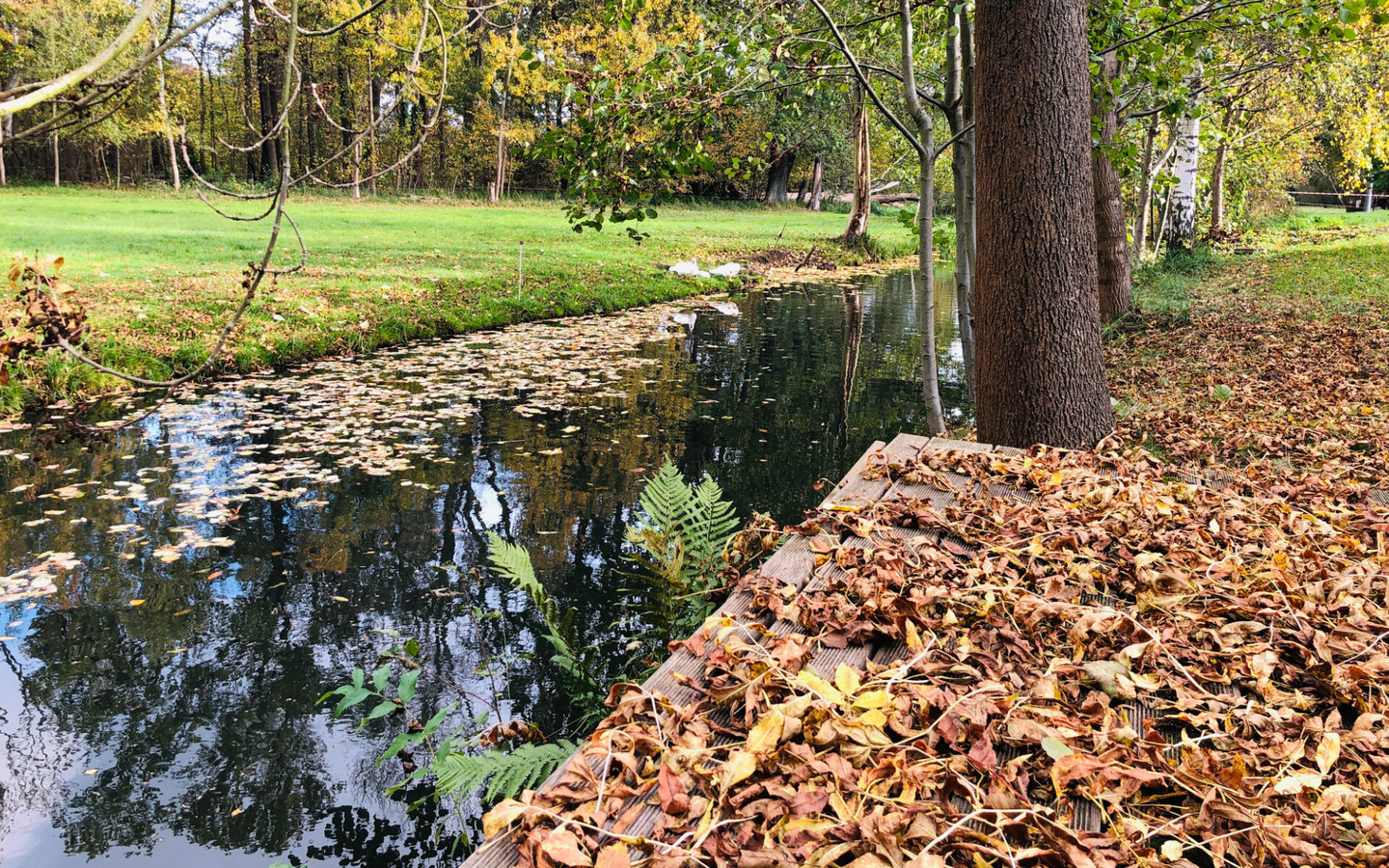 Idyllische Lage am Spreewaldfließ, Foto: Johanna Mehlisch-Bosch, Burg (Spreewald), Lizenz: Fontanehof