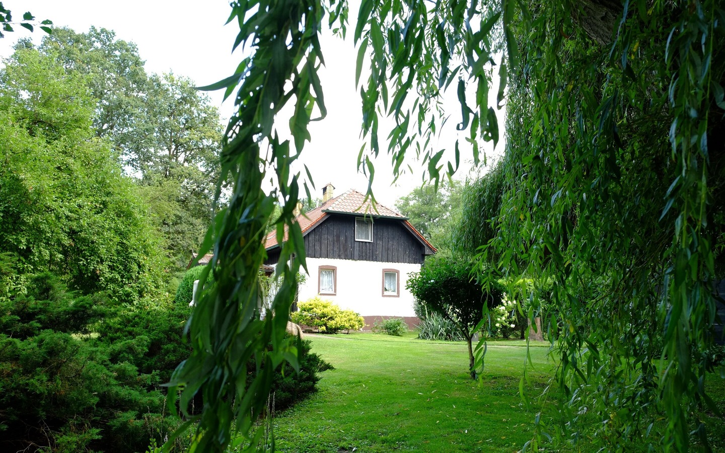 Garten, Foto: Jacqueline Röttel , Lizenz: Stara Broznja