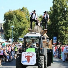 Auszug aus dem Festumzug, Foto: Reinhard Klamt, Lizenz: Reinhard Klamt